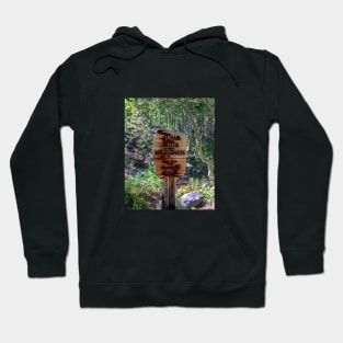 John Muir Wilderness Hoodie